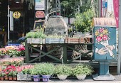 중앙로 우체통 거리사진(00013)